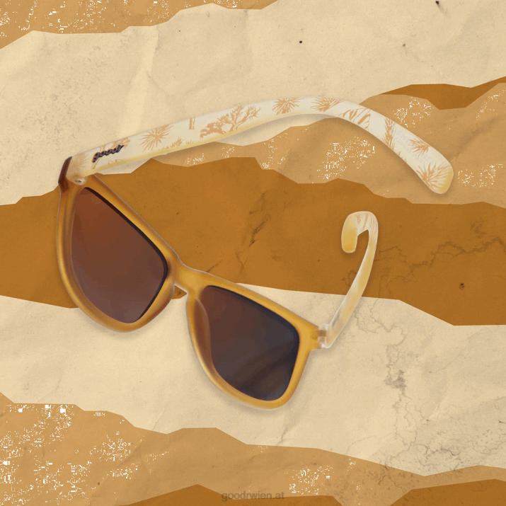 0X2033 Joshua-Tree-Nationalpark Goodr